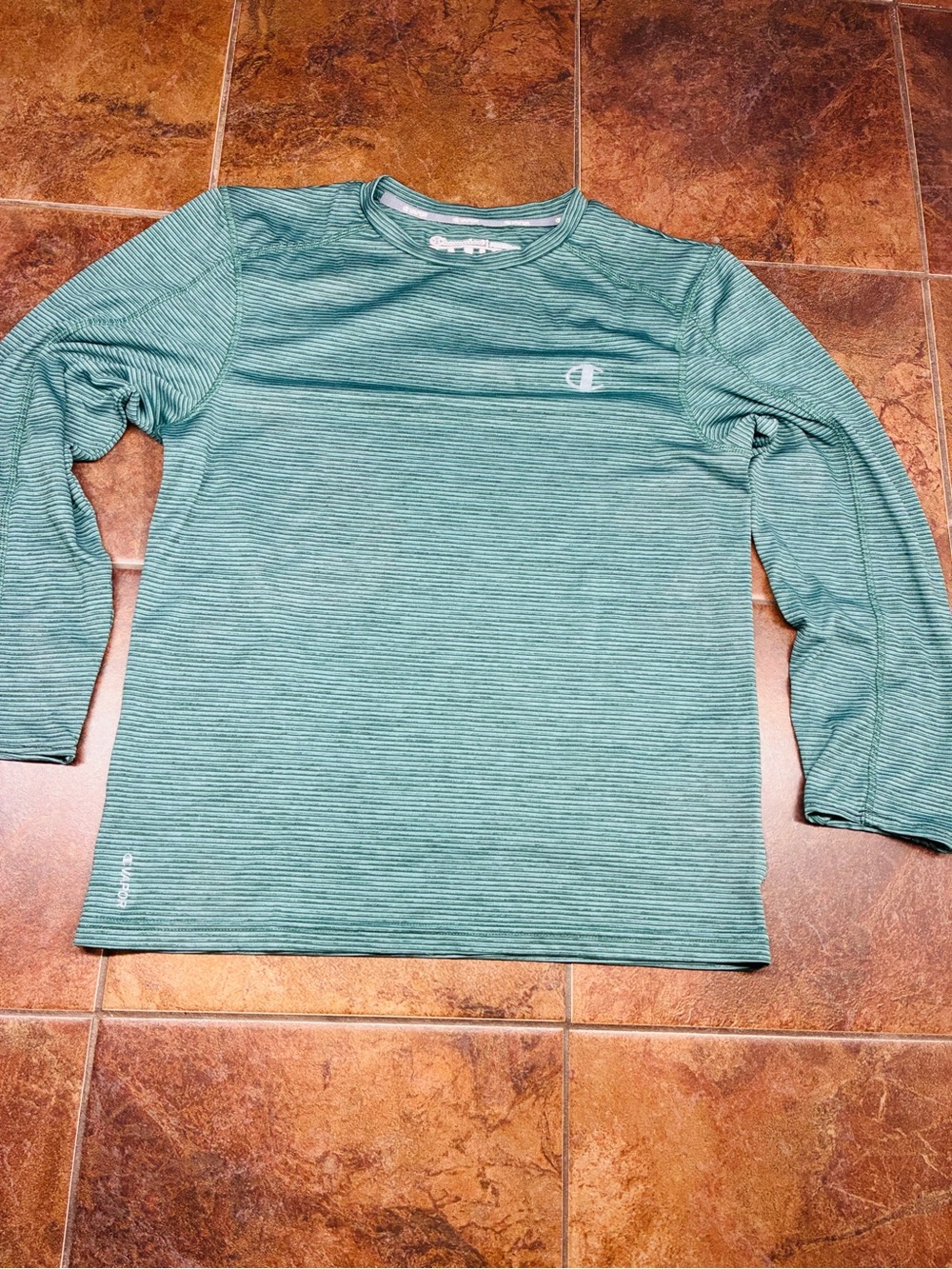 Champion Striped Performance Long Sleeve Top - Teal